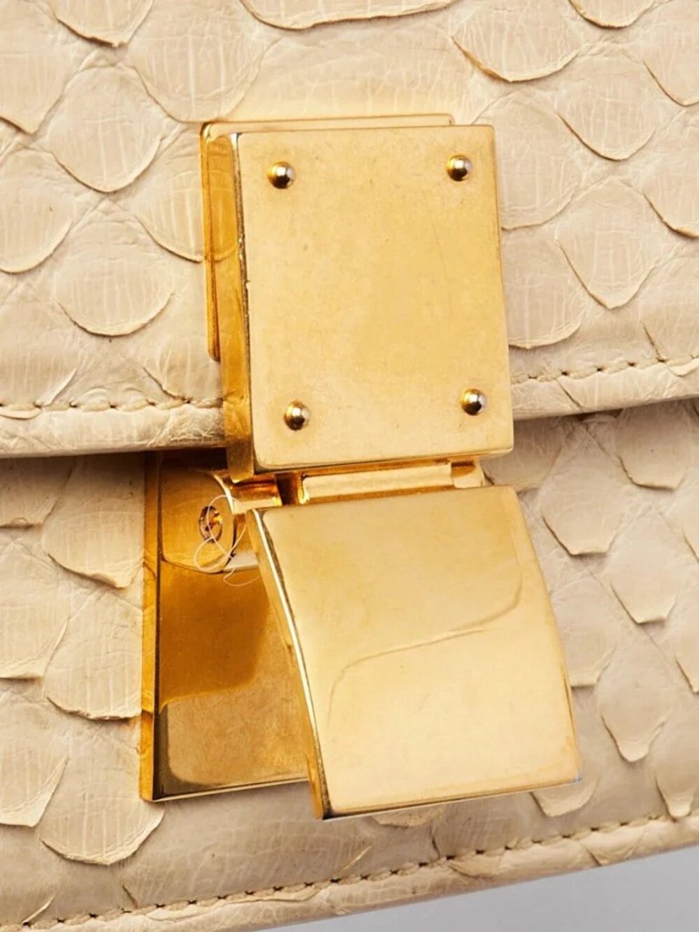 Celine Beige Python Mini Box Bag - Picture 6 of 11